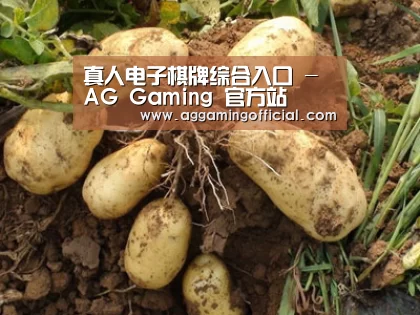 种植基地六