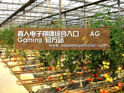 种植基地二