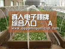 环境展示五