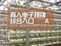 环境展示六