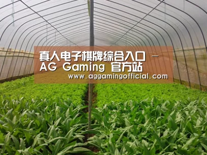 种植基地四
