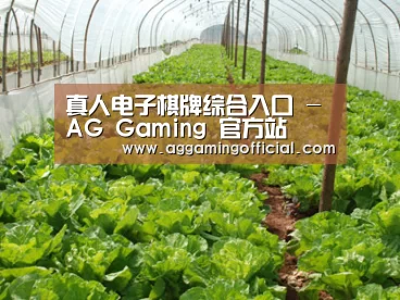 种植基地五