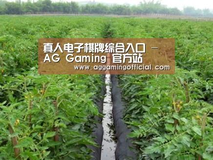 种植基地三