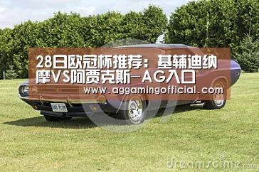 28日欧冠杯推荐:基辅迪纳摩VS阿贾克斯-AG入口(图2) 28日欧冠杯推荐:基辅迪纳摩VS阿贾克斯-AG入口(图2)