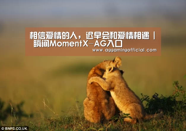 相信爱情的人,迟早会和爱情相遇 | 瞬间MomentX-AG入口(图1) AG入口