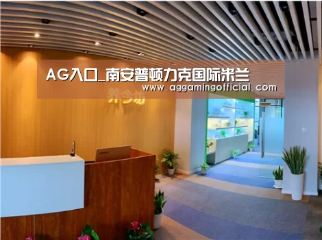 AG入口_南安普顿力克国际米兰(图1) AG入口