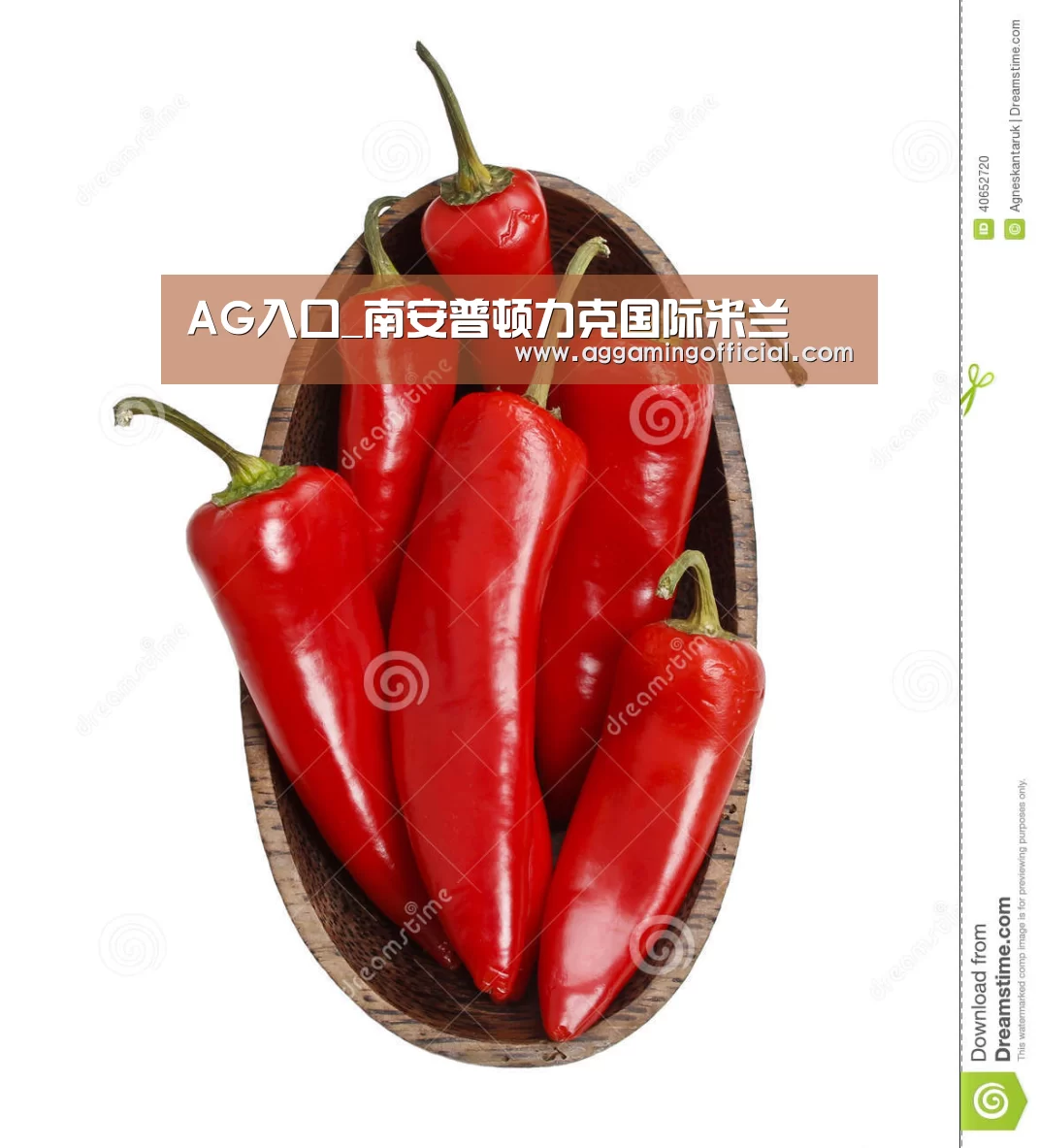 AG入口_南安普顿力克国际米兰(图4) AG入口_南安普顿力克国际米兰(图4)
