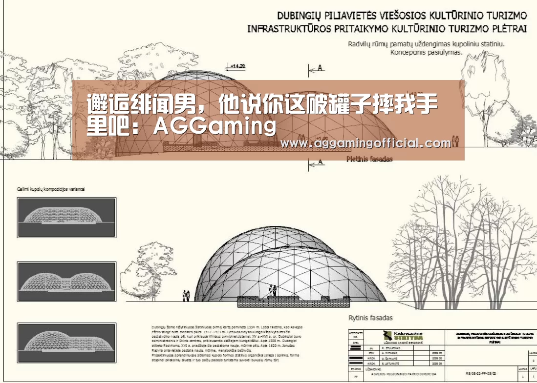 邂逅绯闻男,他说你这破罐子摔我手里吧:AGGaming(图1) AG棋牌
