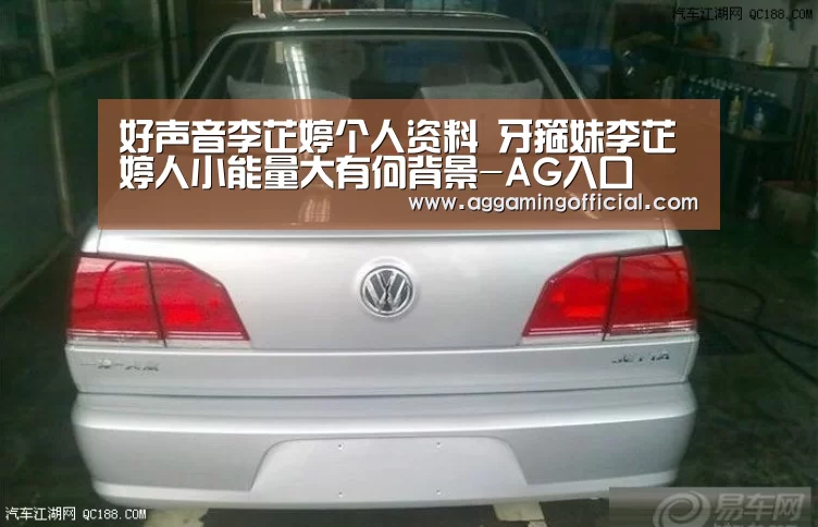 好声音李芷婷个人资料 牙箍妹李芷婷人小能量大有何背景-AG入口(图4) AG入口