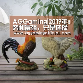 AGGaming|2019年:穷和富裕,只是选择题(图2) AG入口