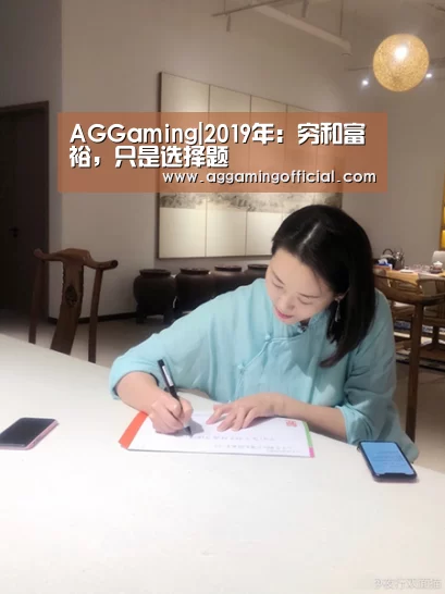 AGGaming|2019年:穷和富裕,只是选择题(图3) AG入口